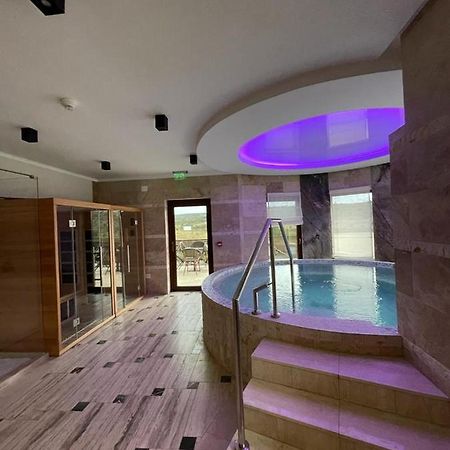 Pensiunea Palace Baile Felix Ngoại thất bức ảnh